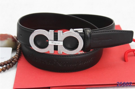 Ferragamo Belts-493